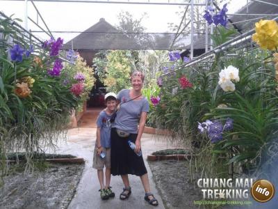 Fotos unserer Gäste | Chiang Mai Trekking | Das beste Trekking in Chiang Mai mit Piroon Nantaya